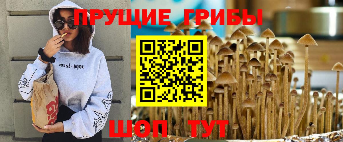 Галлюциногенные грибы мухоморы Зеленодольск